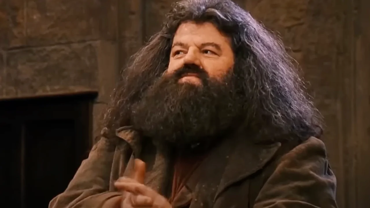 "Harry Potter HBO: Logo oficial da nova série com elementos mágicos e cifras milionárias"