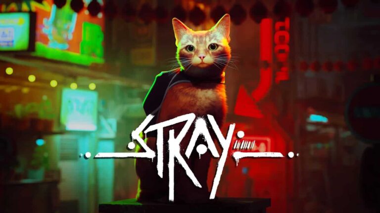 stray game